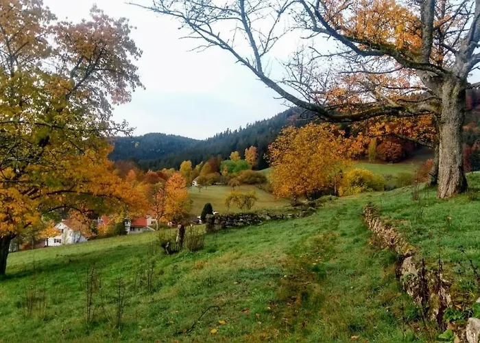 Zimmer mit Aussicht
