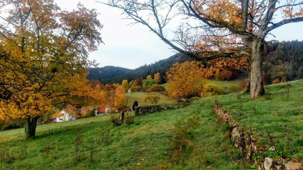 Mit Aussicht